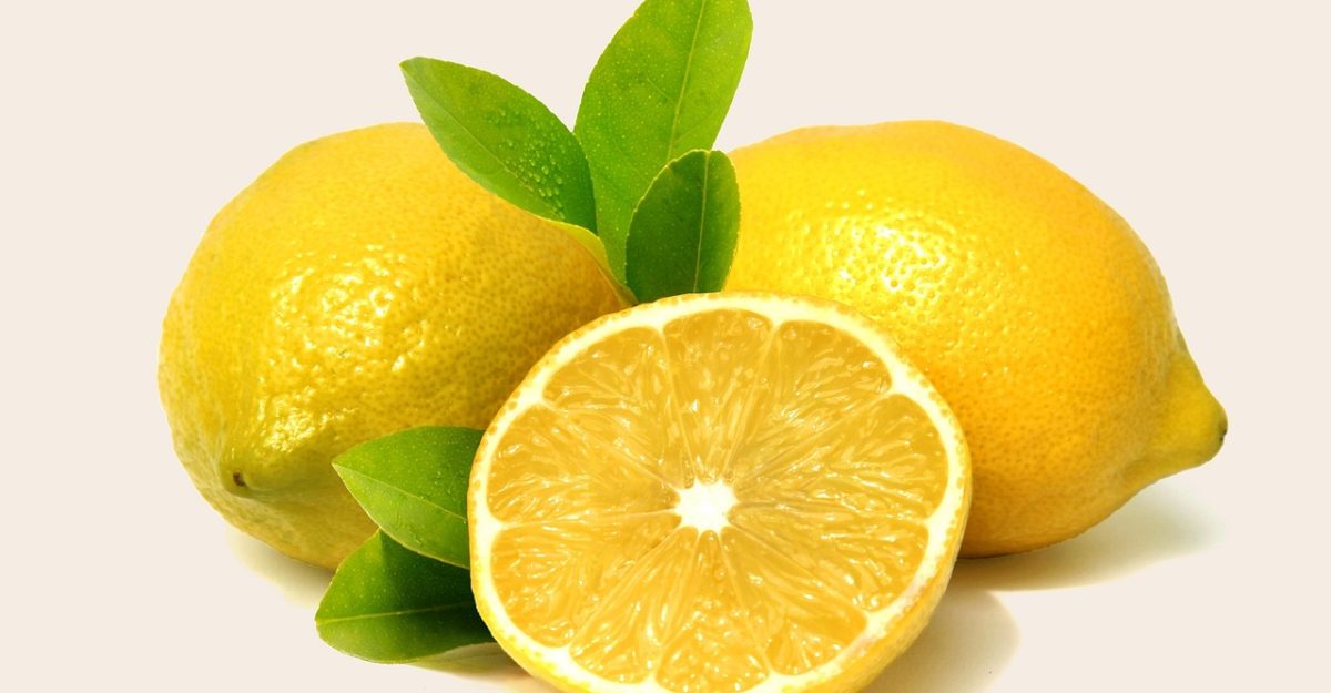 Citron, fruit, health — Comparing Health Insurance: What You Need to Know