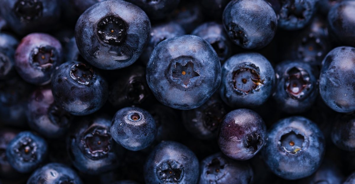 Blueberries, fruits, harvest — Mastering Daily Diabetes Management: Dr. Sudipta Mohanty's Essential Blood Sugar Balancing Tip