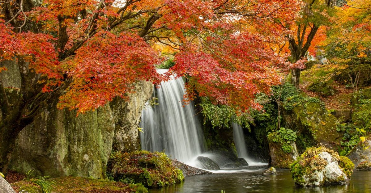 Waterfall, cascade, river — Reddit Boxing Streams: Find the Best Communities for Live Fights