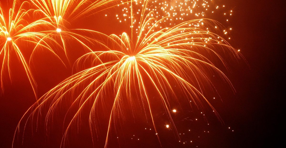 Fireworks, happy new year, sylvester — What to Look for When Evaluating a Fake ID
